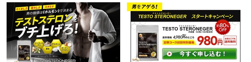 �e�X�g�X�e�����K�[�������L�����y�[���T�C�g